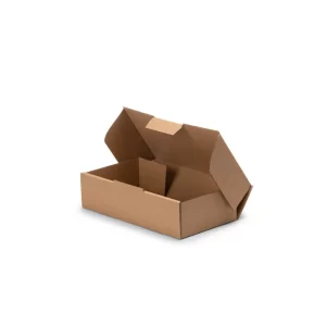 Shipper Box - 500gram